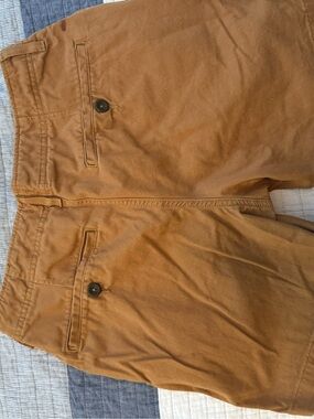 True Craft Khaki Chino Pants in Dark Tan